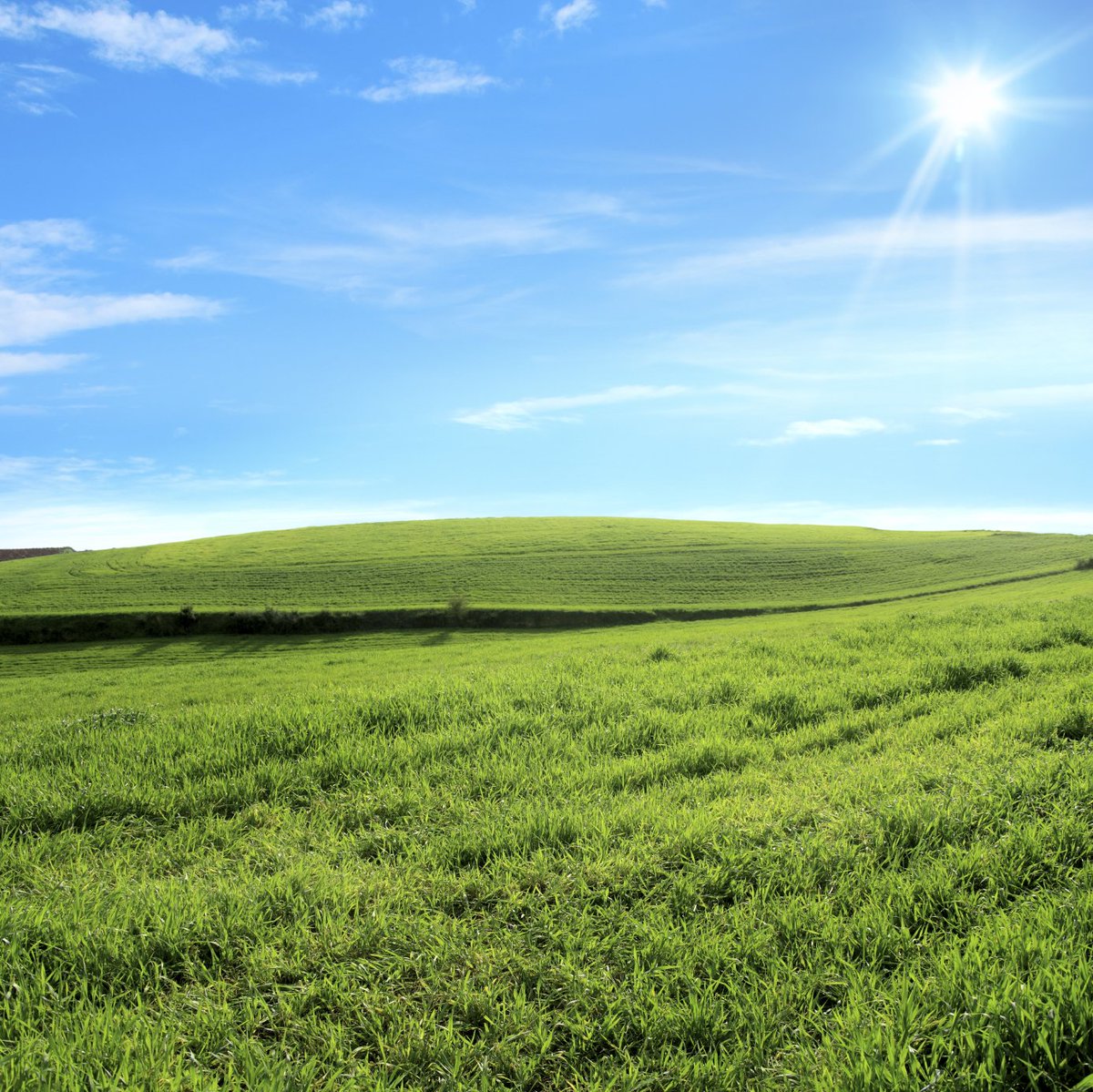 Today is an Ozone Action day. Take the bus, carpool, bike, or walk to get around town today to reduce traffic congestion and air pollution.