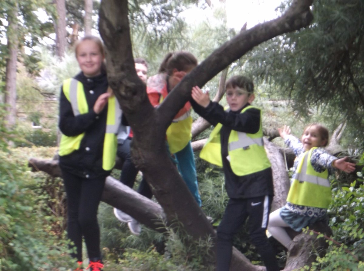 Alexandra Park tweet media