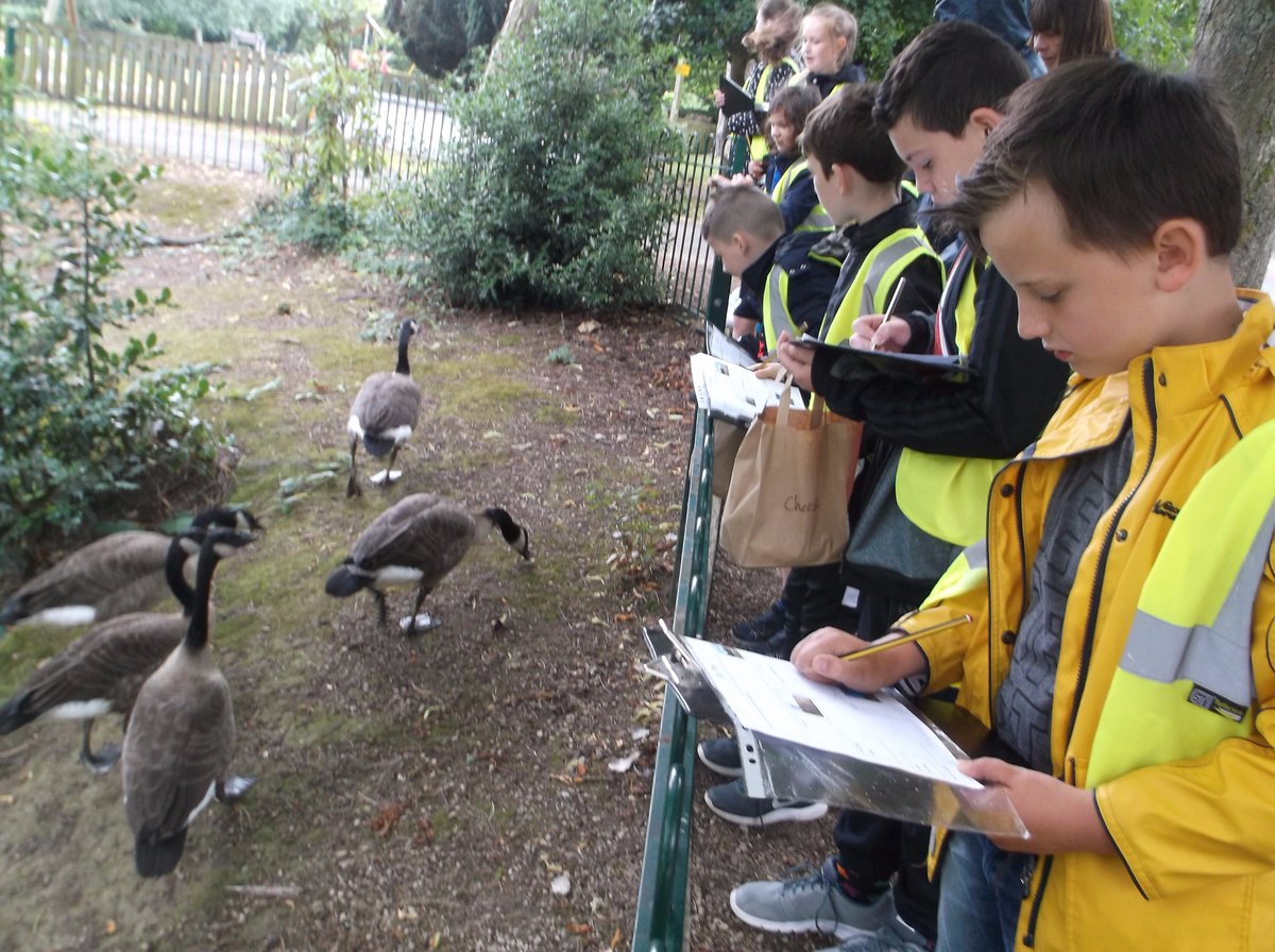 Alexandra Park tweet media