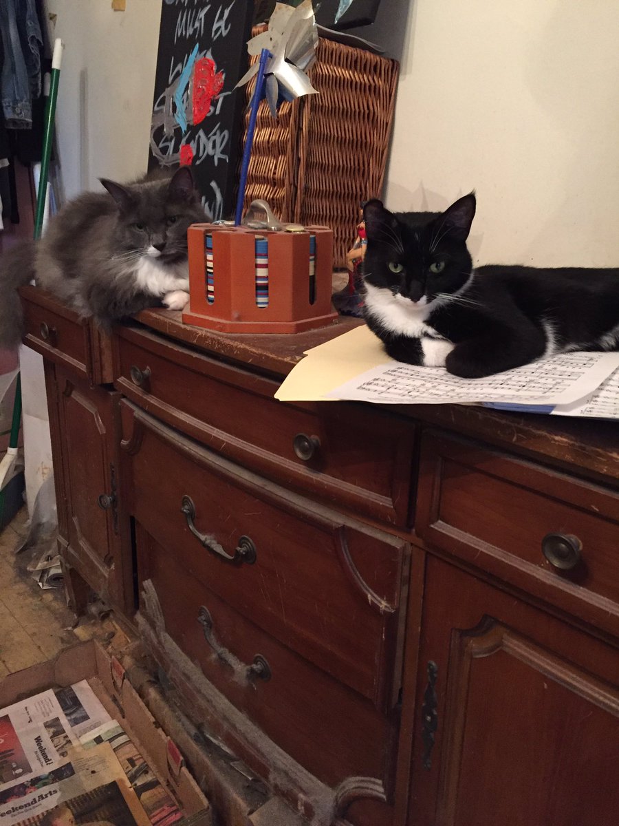 gaylestorm's tweet photo. Cooper and Maki have discovered the source of the problem: The music for the play. They're holding it hostage and making demands. #shrewpack https://t.co/UQMHW2ea1z