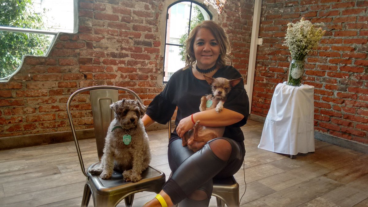 JMRivaPalacio's tweet photo. Lista mi entrevistada @clauhb junto con Fiona y Burro para el #ReporteEspecial de #HechosSábado https://t.co/NBGZyrR8po