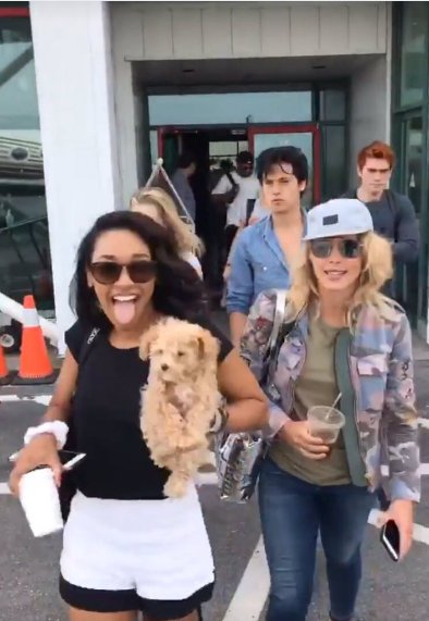 romancebooknerd's tweet photo. EMILY AND CANDICE HAVE BEEN SPOTTED!! *Along with Candice's adorable dog* #ArrowSDCC #FlashSDCC https://t.co/DnbEECwpkz