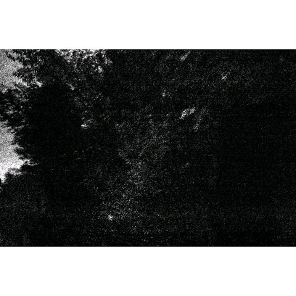 JacobWeeksphoto's tweet photo. Spiritus #4 see the full series at https://t.co/R1Pd5wp2nT
#exhibition #jacobweeks #contemporaryart  #art #ghosts #spirits #evp https://t.co/SxH9Ylghei