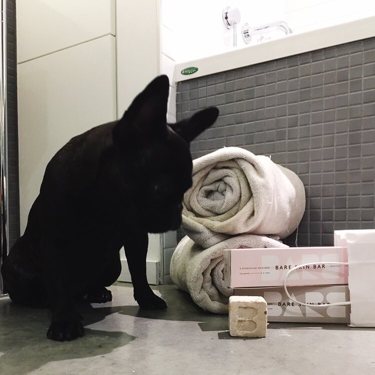 We're taking the lead from @pepperrrfrenchie, time for some R&amp;R. Bare Skin Bars now available on Gift in Time.