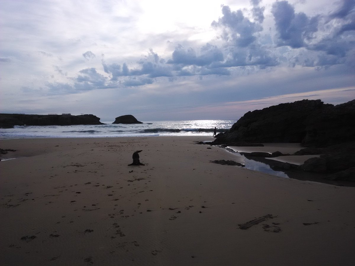 saltapriau's tweet photo. Playa del Bocal.@unasfotosaldia @Apez140 @MarioCayonG @gutimeteo @MaRiAnUrIeL @LaChurrupita @josefuentesdp @EugeniaSimarro @AlberOlanoFotos https://t.co/wHgVPG3D6n