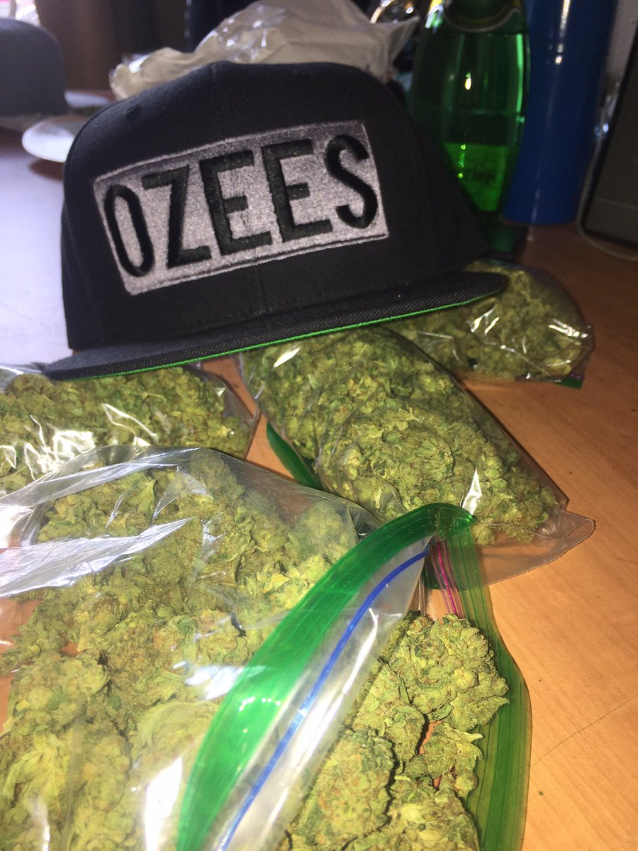 Official_Ozees's tweet photo. Ozees® https://t.co/lWDTy0k4nf