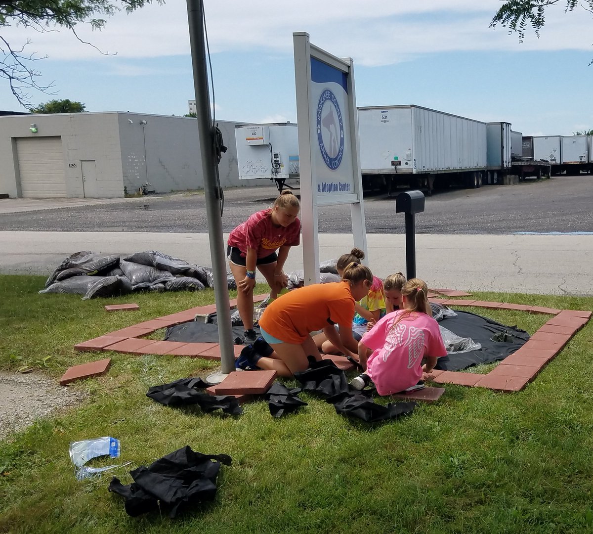 hapimom54's tweet photo. Group #7 spending out last day at Kankakee County Animal Control! #CampMOSH2017 https://t.co/iv0tadkHLZ