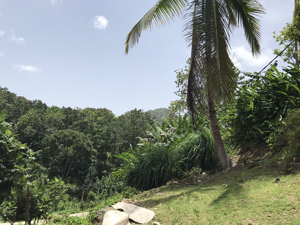That country Life # Jamaica 🇯🇲 #home