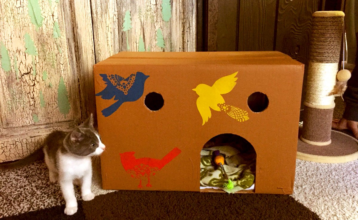 nluvstudio's tweet photo. Create a #cardboard #cabin for ur #kitten! Meet Gus & his mountain getaway! #nluvstudio #crafts #recycle @Hometalk https://t.co/Ne47UrKVoy https://t.co/WYfRVmNMC4