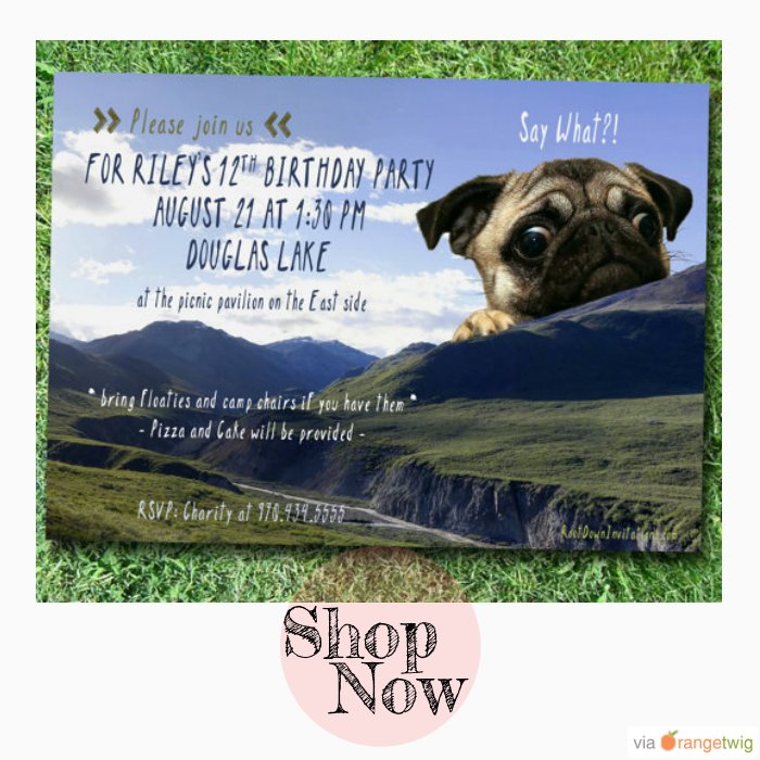 Follow us on Twitter to see new products &amp; sales. Check out our products: small.bz/AAejbfe