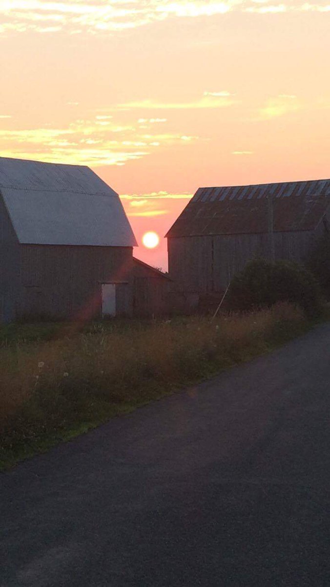 lorangmac's tweet photo. Lismore, NS https://t.co/LCbgHOX8TF