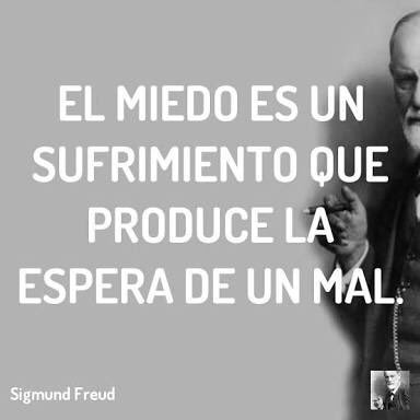 ConscienteIn's tweet photo. El miedo es un sufrimiento que produce la espera de un mal . #FelizViernes #Freud https://t.co/jSy9WLrv5o