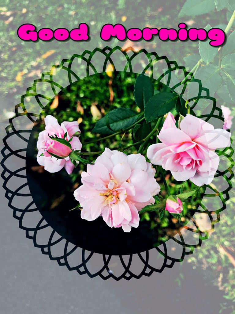 vurpja's tweet photo. @kvijay12 @ssathya01 @marymalar Wishing u'll a great weekend! https://t.co/0UbXQ87APD