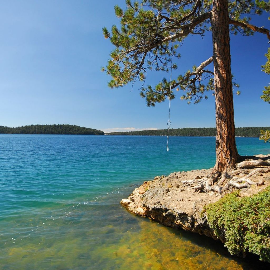 outdoorproject's tweet photo. The weekend is waiting for you... #findyouradventure #bisonroaming #paulinalake https://t.co/sWU1wOtLbn https://t.co/HOSOrDhWUZ