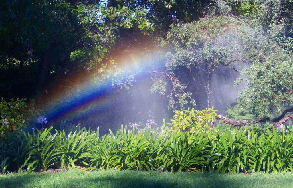 Water Restrictions Relaxing as We Head into the Weekend claremontproud.com/2017/07/water-…