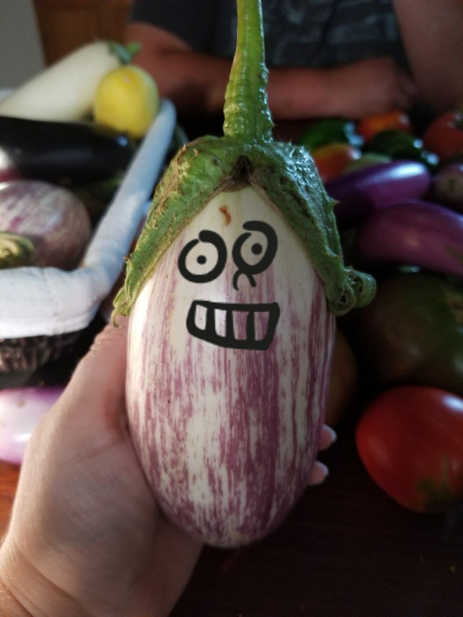 _thetinyacre_'s tweet photo. You guys, you guys...his tiny wig! #deadfromlaughing #eggplantentertainment https://t.co/bMuz1oMUS7