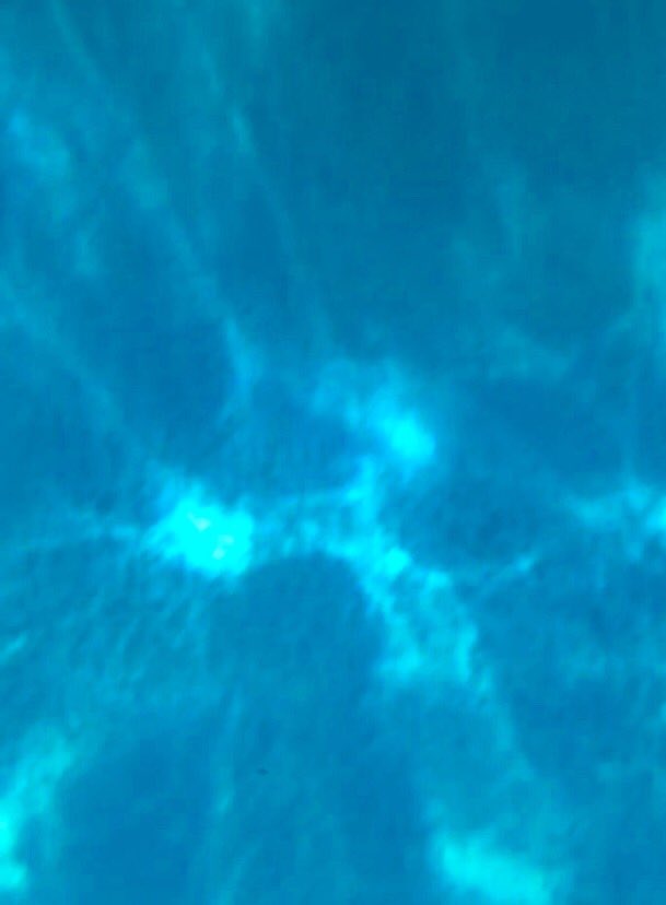 jordan_759's tweet photo. Underwater Pics https://t.co/Wxg09ChKyk