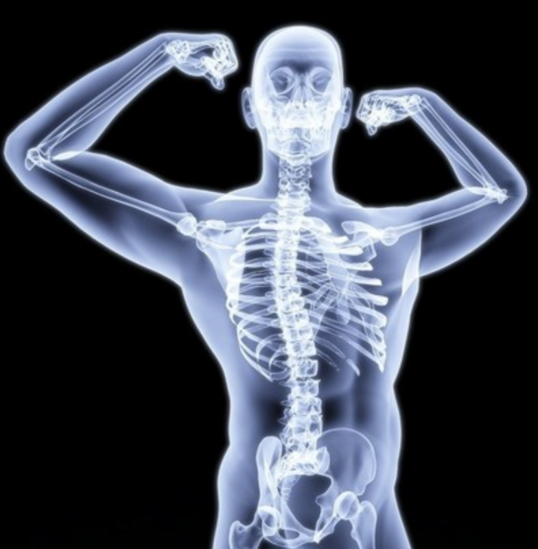 EHSPilates's tweet photo. Bone Health Continuing Ed for Pilates Instructors, September 2017 at EHS  https://t.co/mCWT3eC9vN https://t.co/jOUgKSnw33