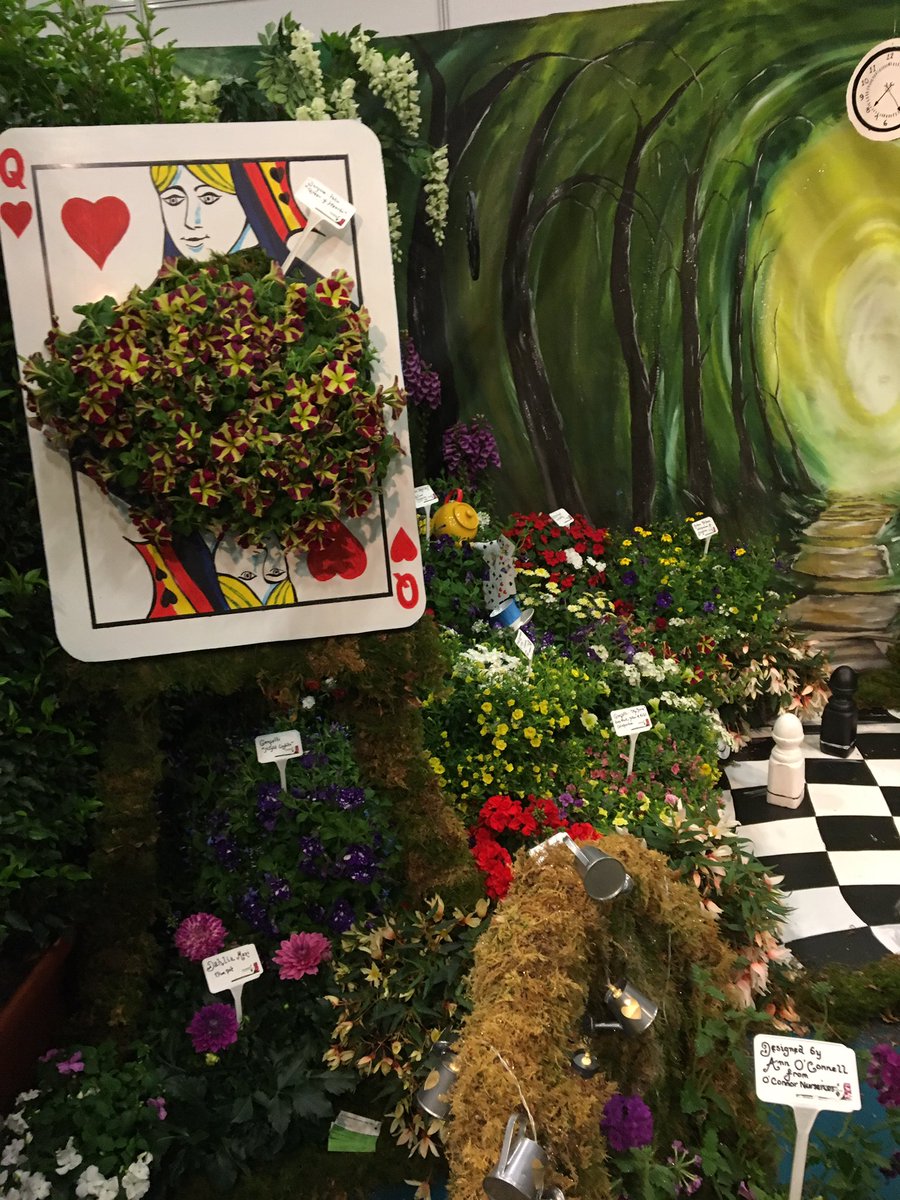 EvergreenPeat's tweet photo. Without a doubt the best in show! @OC_Nurseries @GLASIRELAND #GardenInspo #GardenGoals #GLAS2017 #Horticulture #HortNews #Gardening #Plants https://t.co/RaBvBiJBlu