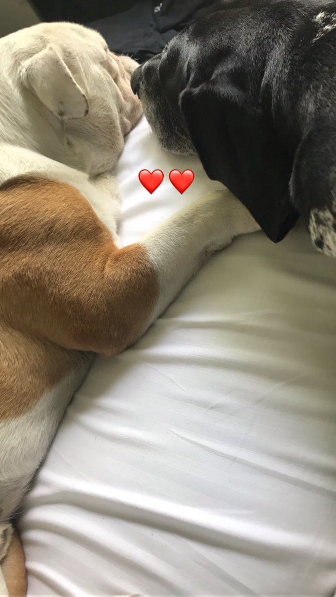 DFSB5RsXkAAcGMt.jpg (675×1200)