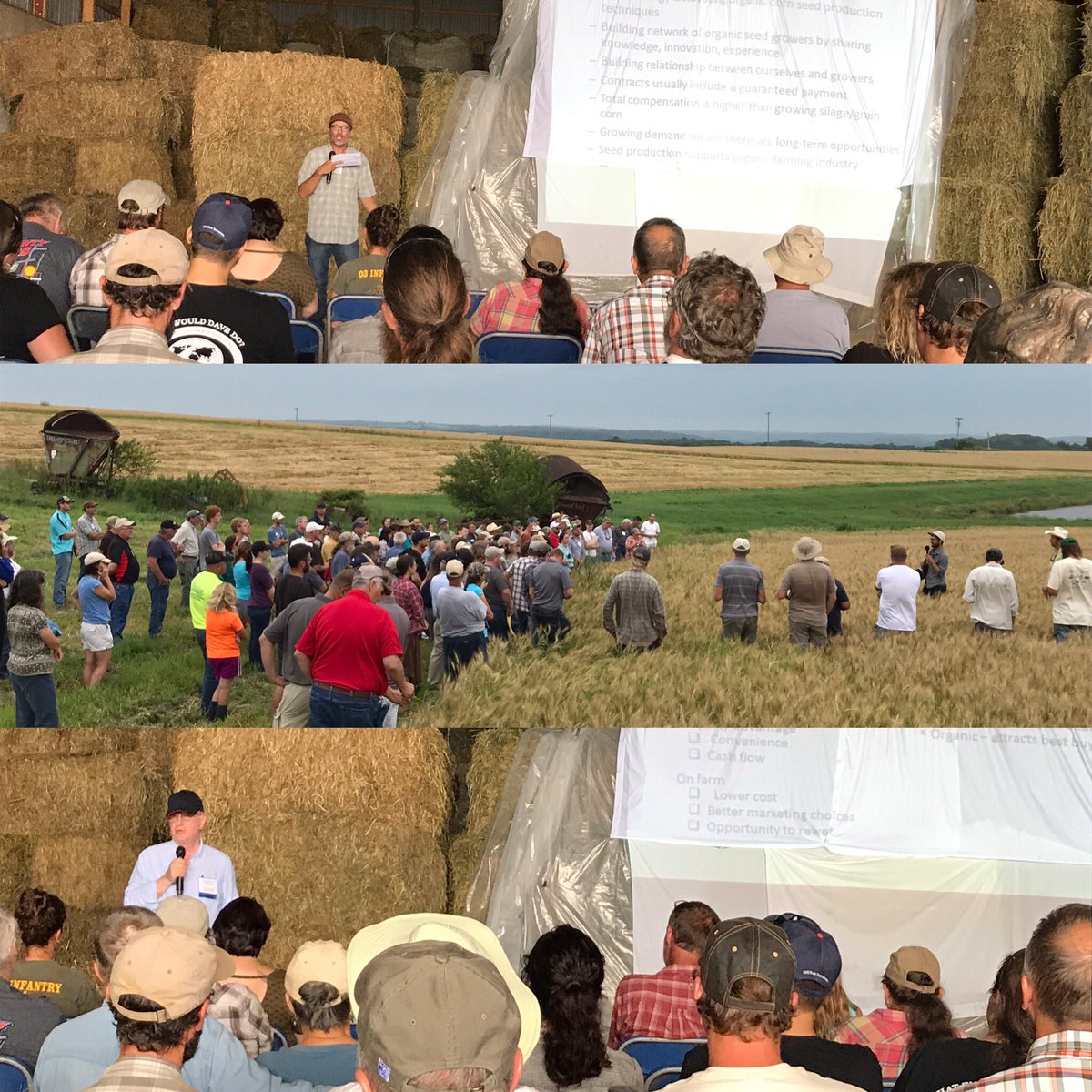 GroAlliance's tweet photo. Proud to sponsor an #organic #fieldday w #ograin and #moses at #BickfordFarms in #Ridgeway, WI. Focused on #rotation and #water quality. https://t.co/22smFamRj8