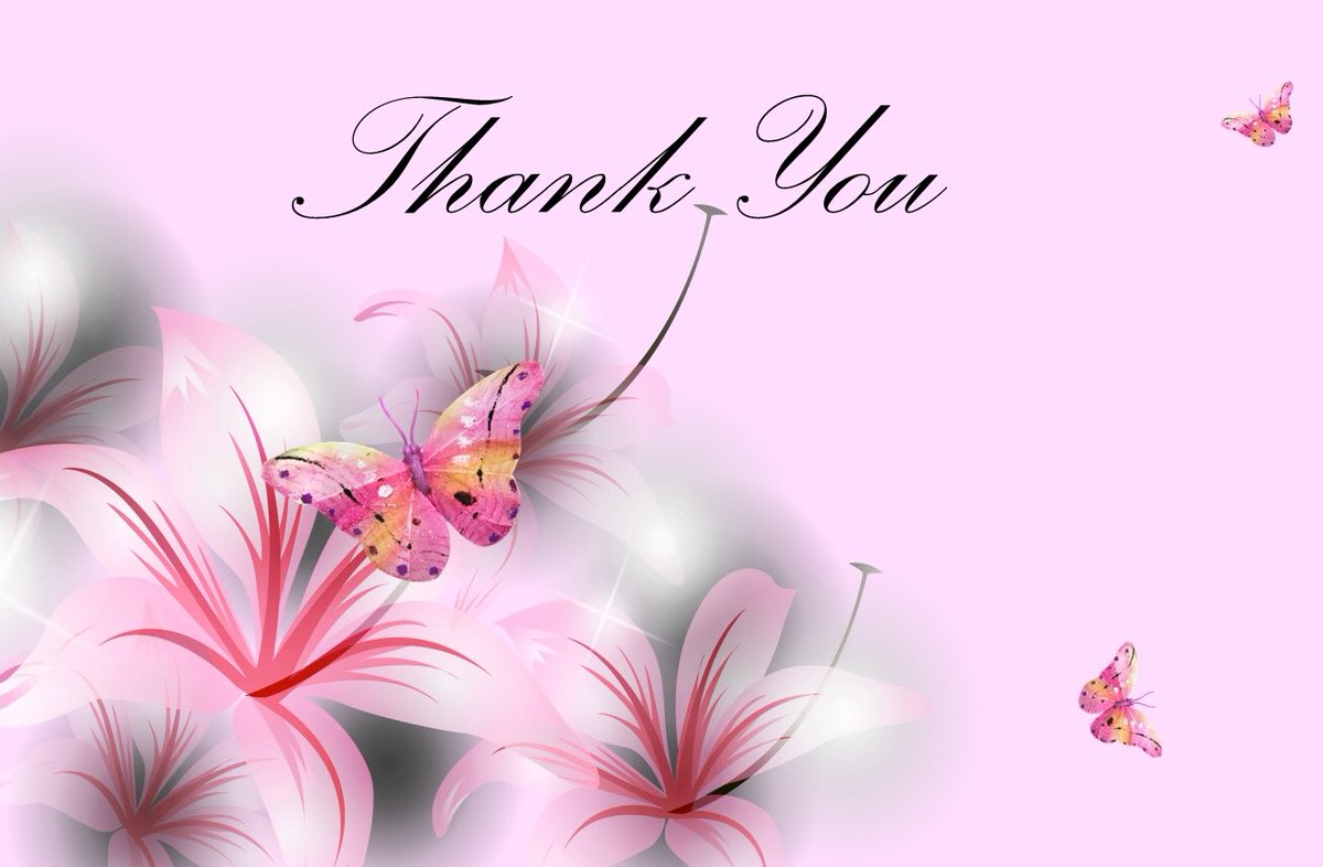 designbysac's tweet photo. Thank you @_feedyourbeauty for letting me help w/her Twitter page! Go show some love! #thanku #recipes #butterflies #flowers #stargazerlily https://t.co/ngWxC8mAzg