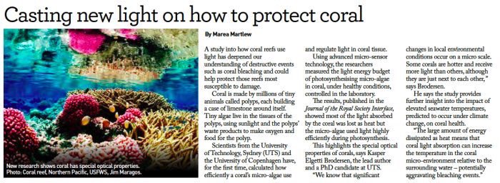 RT: Light absorption can increase temp of #coral tissue relative to the ambient water-aggravating bleaching events?! rsif.royalsocietypublishing.org/content/11/93/…