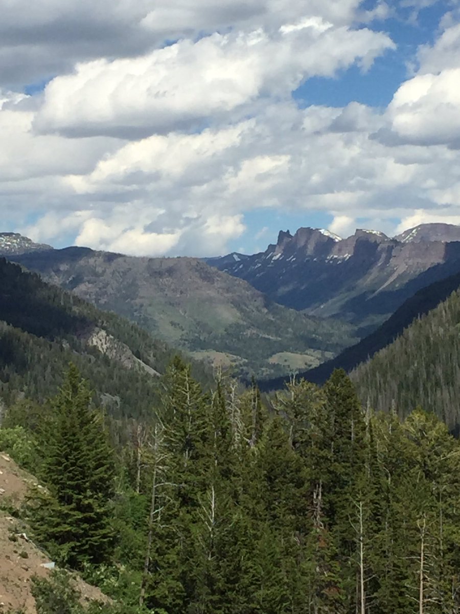 More Yellowstone