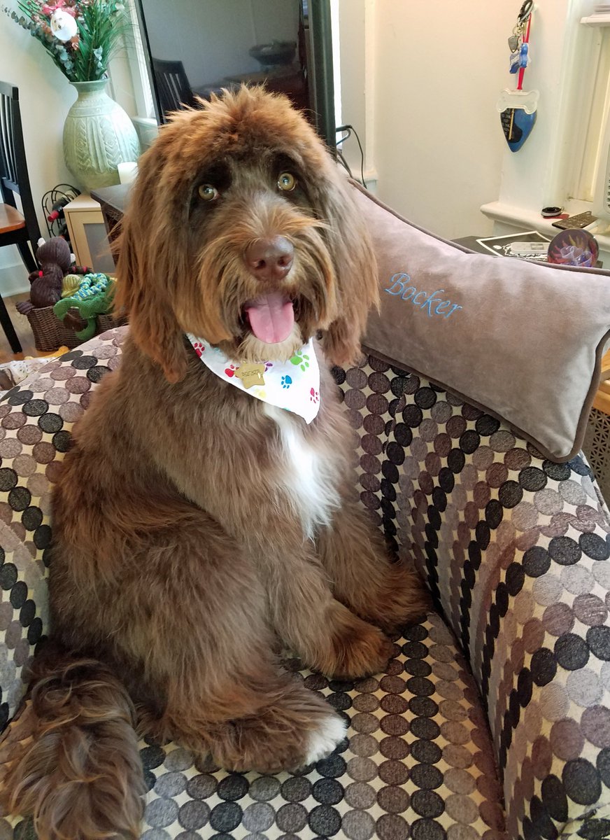 Bocker & Marie tweet media