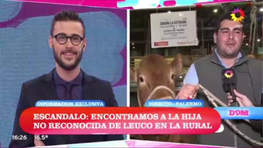 Lo de Mariana tweet media