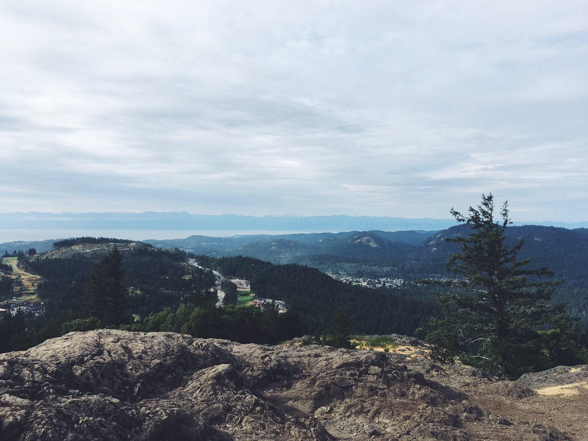 ShealynJack's tweet photo. Another beautiful view well on my trail run this am. Atop mount finlayson in Victoria BC #run150 https://t.co/pUSUCxVKxa