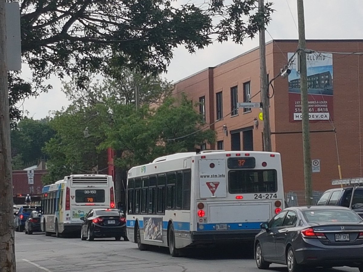 Plainte à <a href="/stminfo/">STM</a> !  La 37 tourne en coupant mamie et bébé traversant au coin de Decourcelle!?! #Honteux  #Dangereux #Plainte 24-274