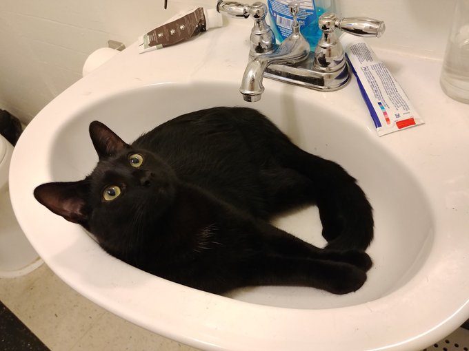 These are the kinds of obstacles I encounter trying to do simple tasks like brushing my teeth https://t