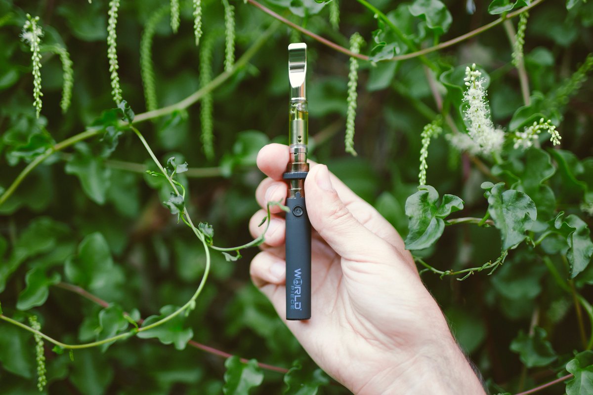 worldpiecebrand's tweet photo. What’s your favorite oil concentrate cartridge? https://t.co/ZsefKNxqmj