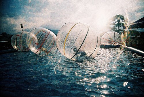 BucketListFeed's tweet image. Go zorbing 😍