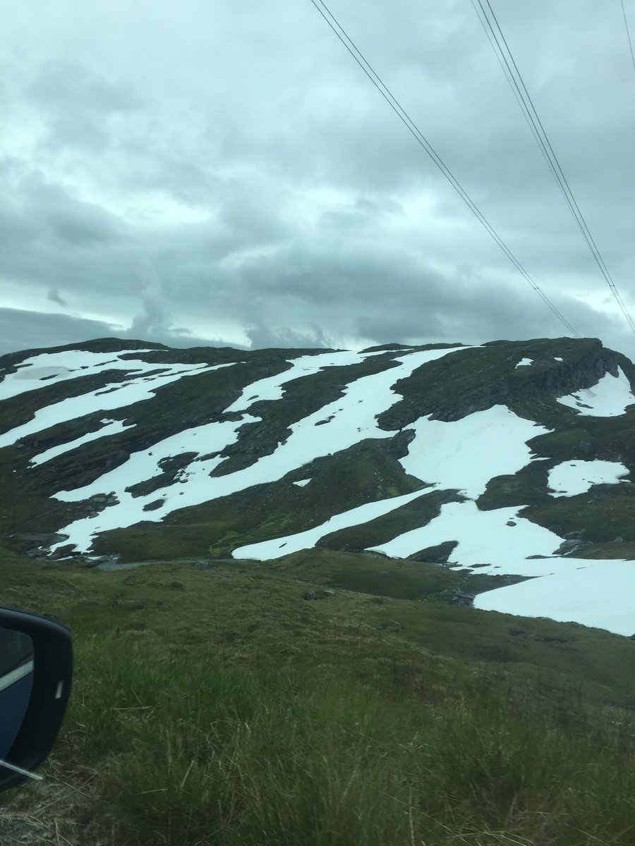 savanna_itati's tweet photo. Tomorrow morning will be #ScicommSaturday but for tonight, I leave you with this alpine snow in late July at Skjellingahaugen https://t.co/jibDC75C79