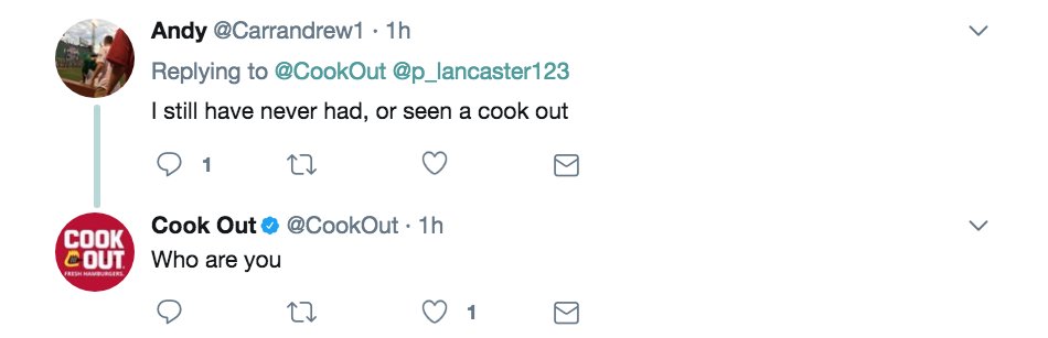caitlin shanley tweet media