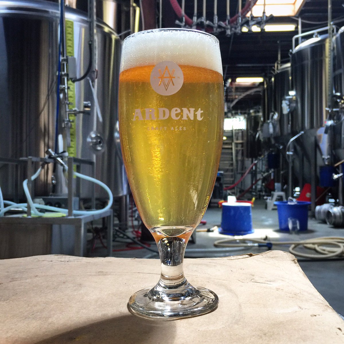 ArdentCraftAles's tweet photo. Friday treat for ya: Company Man's back in the taproom! This crisp pils might just help you forget it's 100° outside 🍺😅 Food by @TheDankEats https://t.co/jr5E1vBc8f