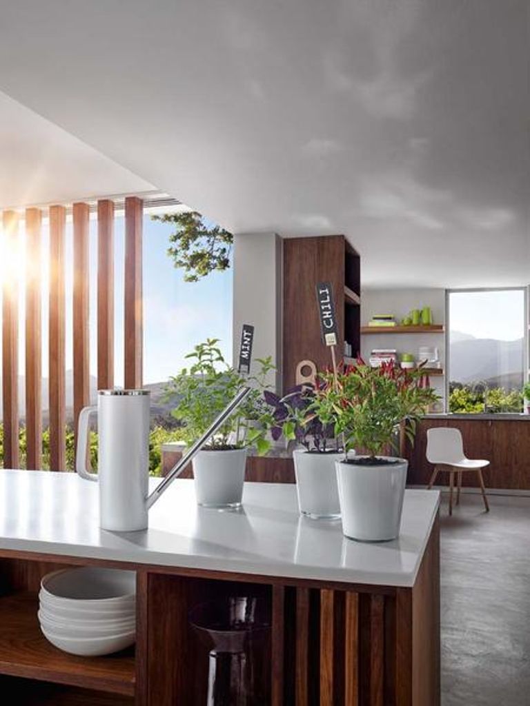 puremodern's tweet photo. You made it to Friday! Enjoy your weekend!

#PureModern #Blomuslimbowateringcan #Modern #Garden https://t.co/HKQLf30fsI