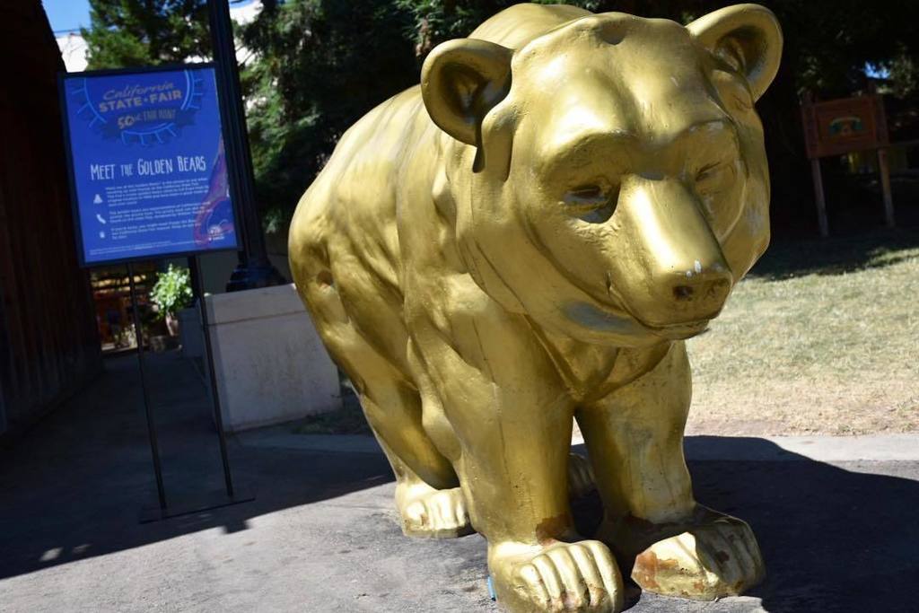 stacymolter's tweet photo. How many Golden Bears can you find @castatefair #castatefair #castatefair2017 https://t.co/jExHIJIF2y https://t.co/6ImtSi0No3