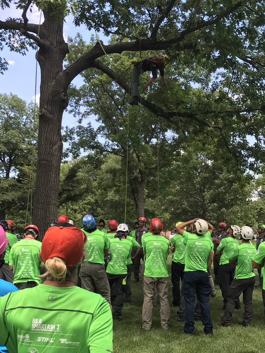 BeASmartAsh's tweet photo. Spreading #EAB awareness on the backs of hardworking arborists—literally! #BeASmartAsh &amp; come watch them climb in #WashPark today &amp; tomorrow https://t.co/grumrBlMog