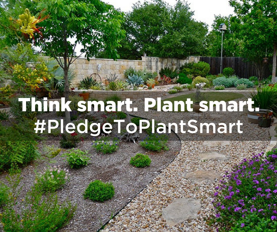Think smart. Plant smart. #PledgeToPlantSmart w/ native or adapted plants in your landscapes!
ntmwd.com/think-smart-pl…