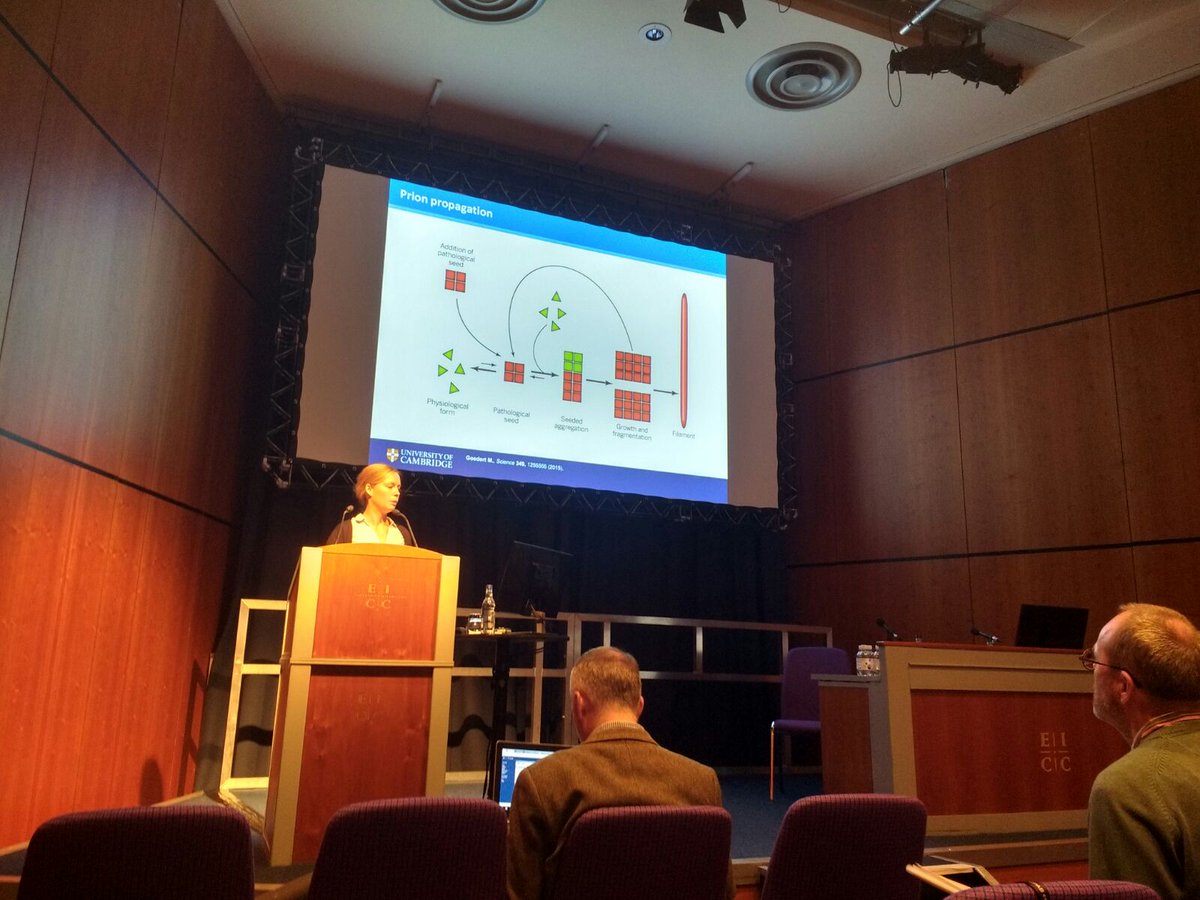 MathewHHorrocks's tweet photo. #Biophysics2017 Fran Kundel, exponentially spreading tau knowledge through each of our 10^9 brain cells. https://t.co/K7cAwfG3Ls