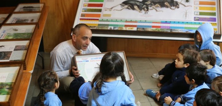 MarcaChile's tweet photo. La exposición chilena más grande de insectos se presenta gratis desde mañana en Santiago | vía @biobio | https://t.co/e3jBmyuLS3 https://t.co/YIjgeb1Vhp