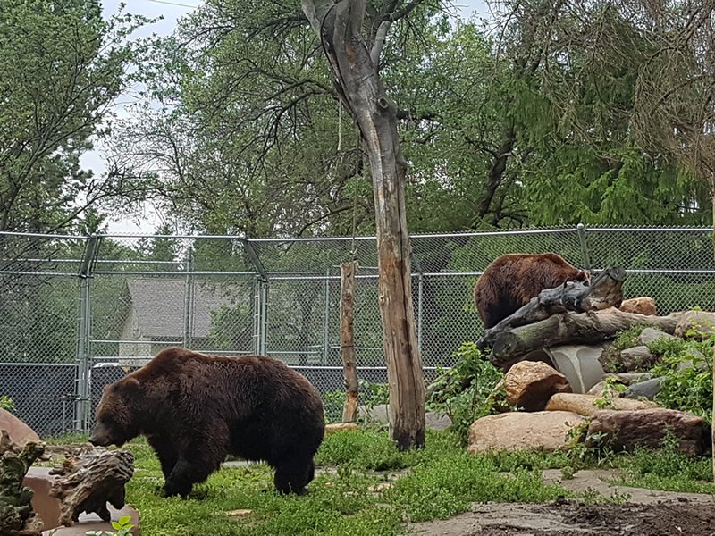 First Ever Research Partnership At Saskatoon Zoo dlvr.it/PXRrVD https://t.co/m3E3bzPnuG