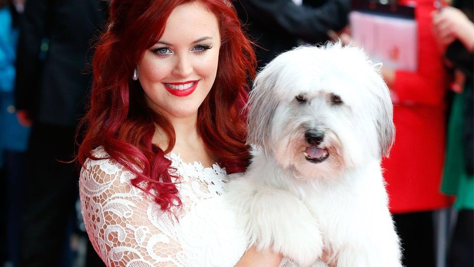 Jacquelinehilto's tweet photo. Pudsey had gone to.......😔#doggyheaven #BritainsGotTalent #ashleighbutler https://t.co/kH5Gft13sM