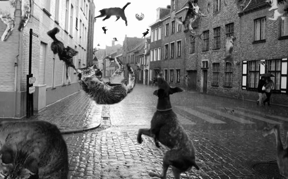 #severeweather It's raining cats and dogs here in Dorset!