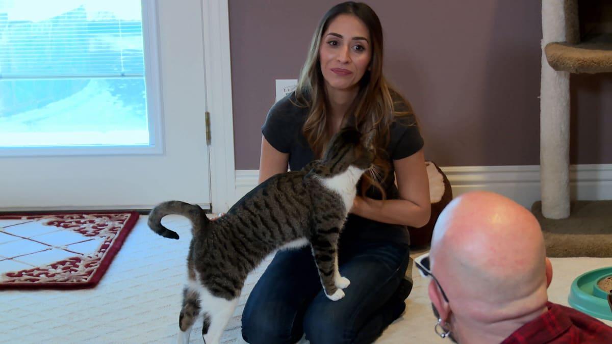 AnimalPlanet's tweet photo. Favoritism never works, especially in a house with multiple cats. #MyCatFromHell https://t.co/xRcbejx8d9 https://t.co/MmMaZ8EaQn