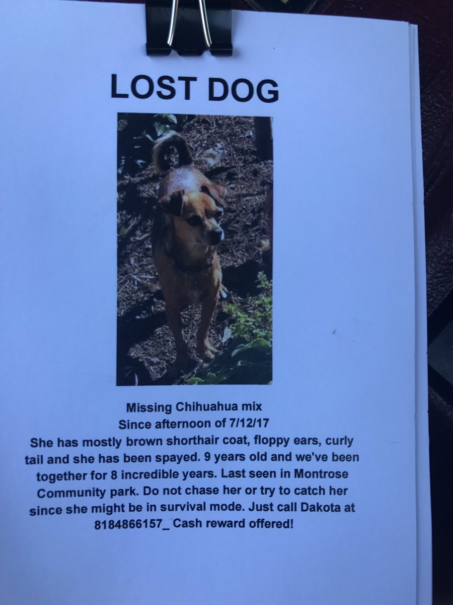 loganlovelight's tweet photo. Help find my friend Dakota lost  dog. https://t.co/WirpEdSuSB
