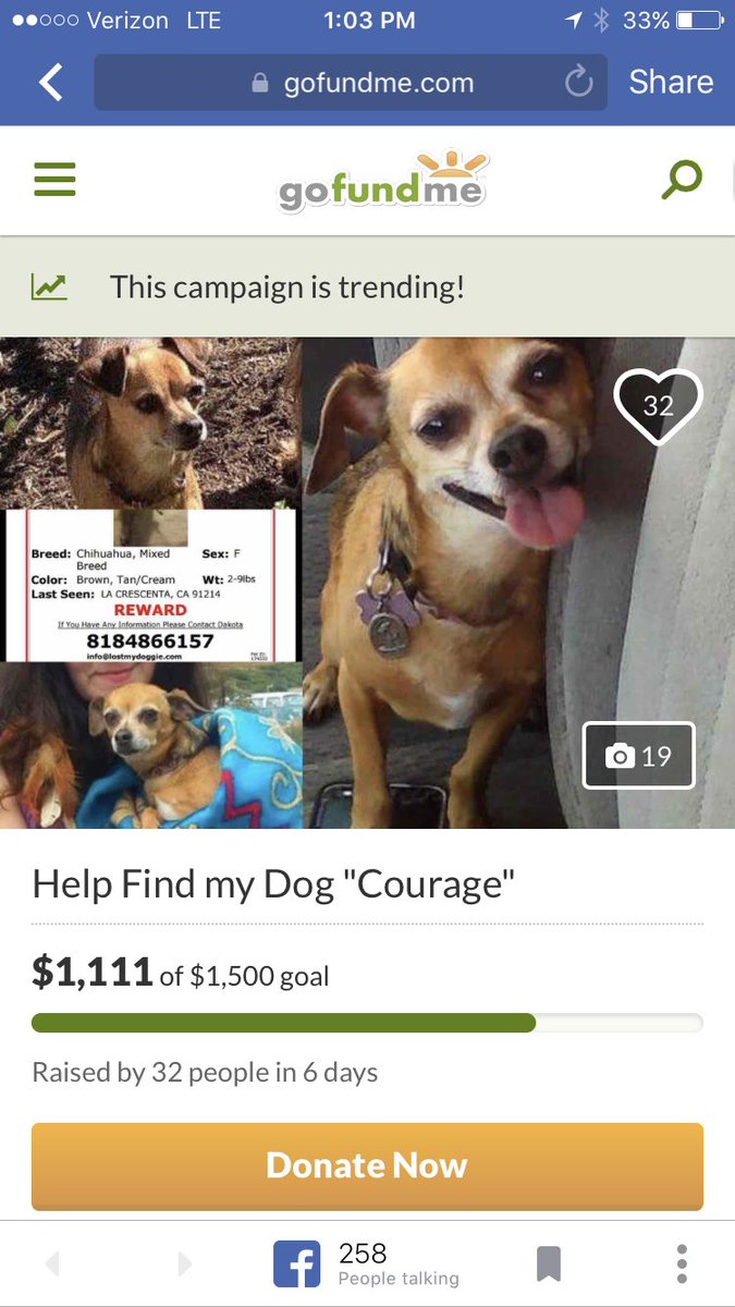 loganlovelight's tweet photo. Help find my friend Dakota lost  dog. https://t.co/WirpEdSuSB